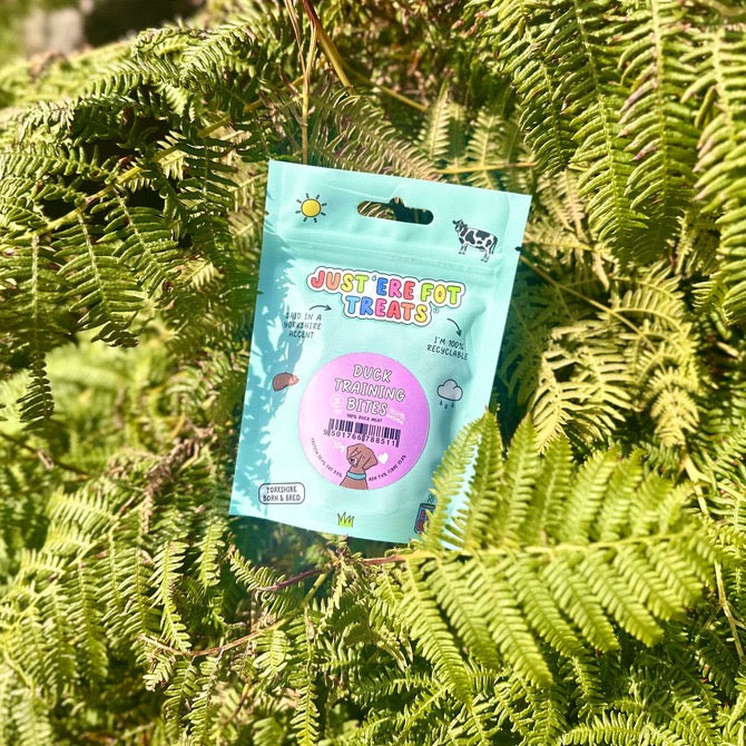 Just 'Ere Fot Treats - Duck Training Treats 30g
